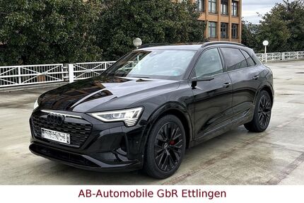Audi Q8 e-tron 41.544 km 57.900 &euro; Ettlingen 76275