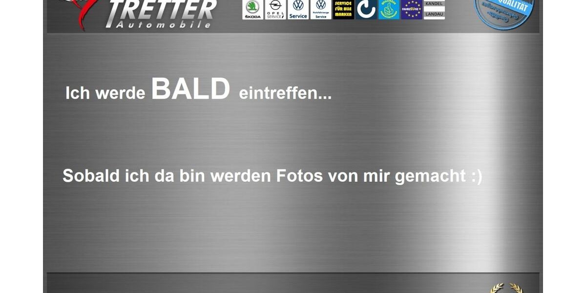 Skoda Fabia 3.500 km 18.690 &euro; Landau in der Pfalz 76829