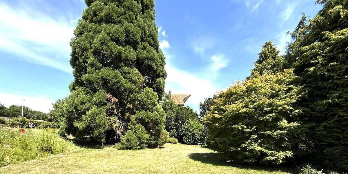 Grundstück Pforzheim Nordstadt - 550.000&euro; | Angebot:25725746