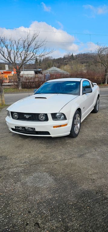 Mustang