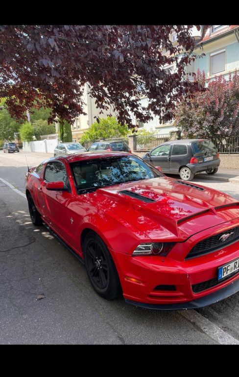 Mustang