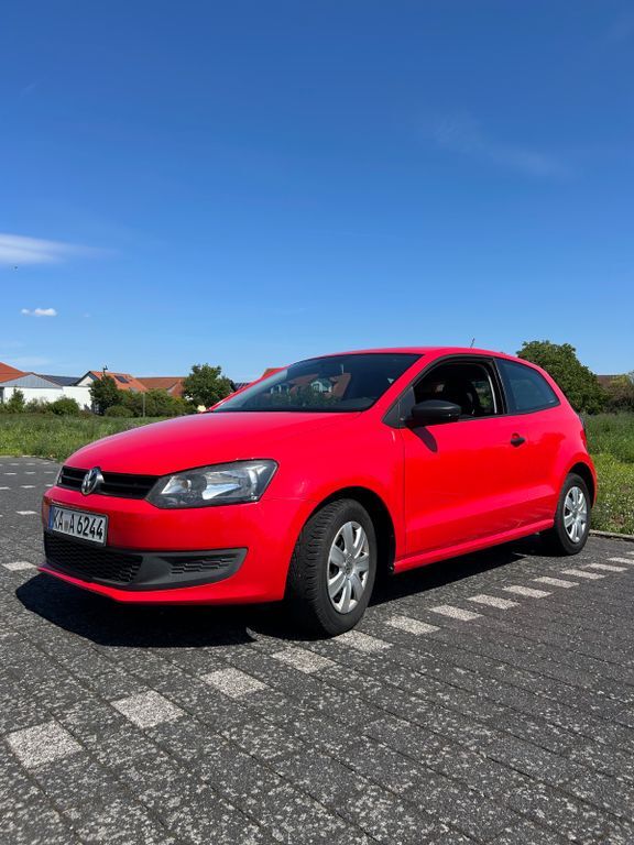 Polo