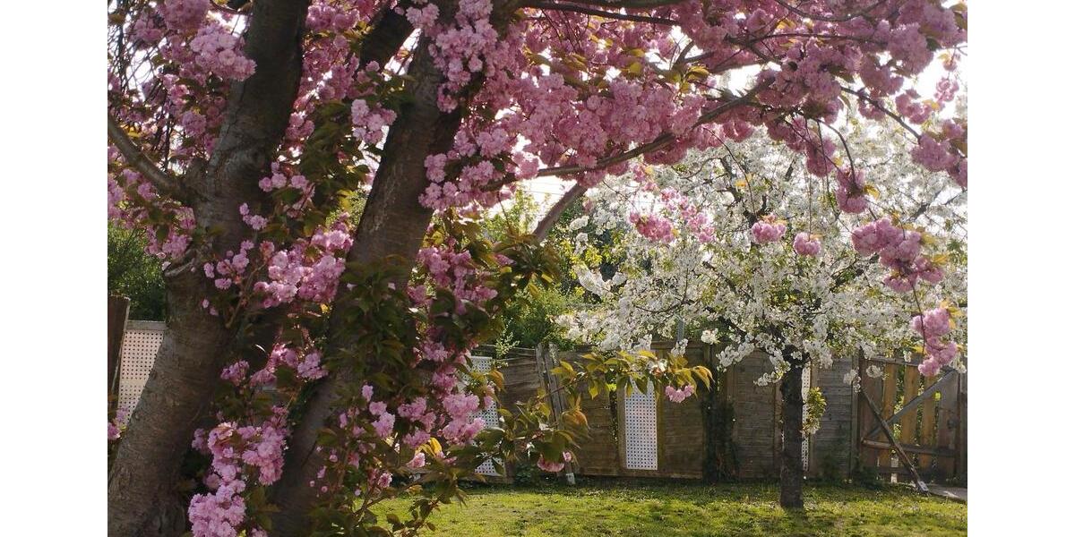 Dachgeschoßwohnung Stutensee - 1 Zimmer, 65 m&sup2;, 900&euro; | Angebot:25611456