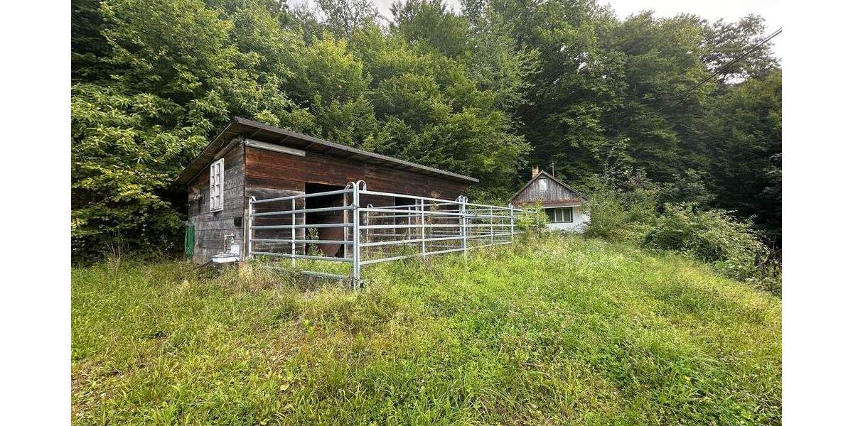 Traumgrundstück mit kleinem Wohn- und Wochenendhaus zimmer