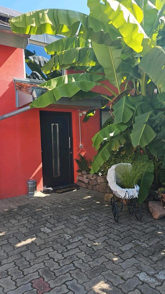 Kleines Freistehndes Haus. zimmer