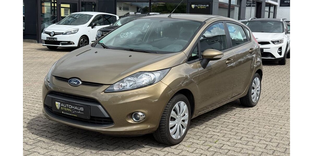 Ford Fiesta 92.000 km 4.890 &euro; Graben-Neudorf 76676