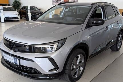 Opel Grandland (X) 17.700 km 23.590 &euro; Landau 76829