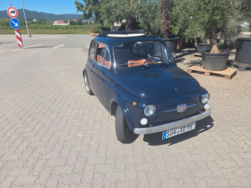 Fiat 500 67.900 km 11.300 € Herxheim 76863