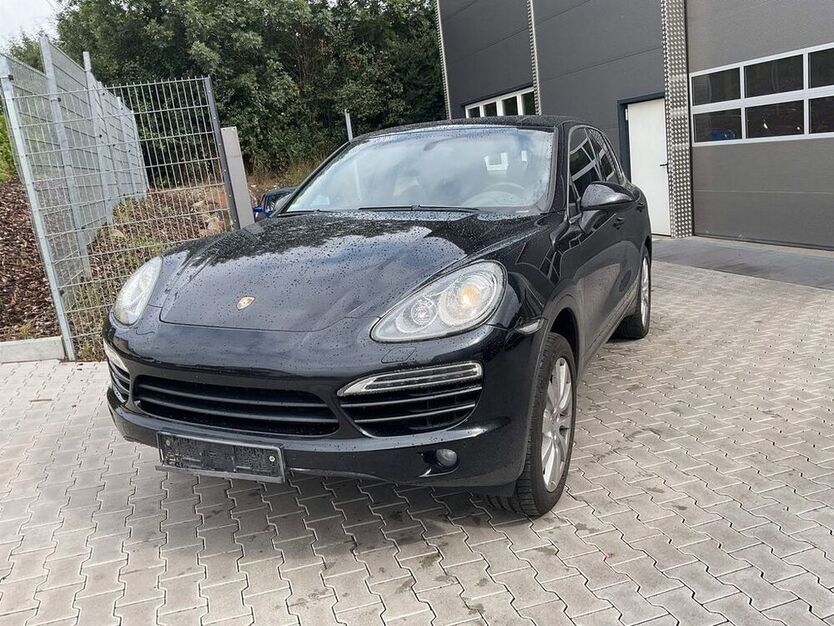 Cayenne