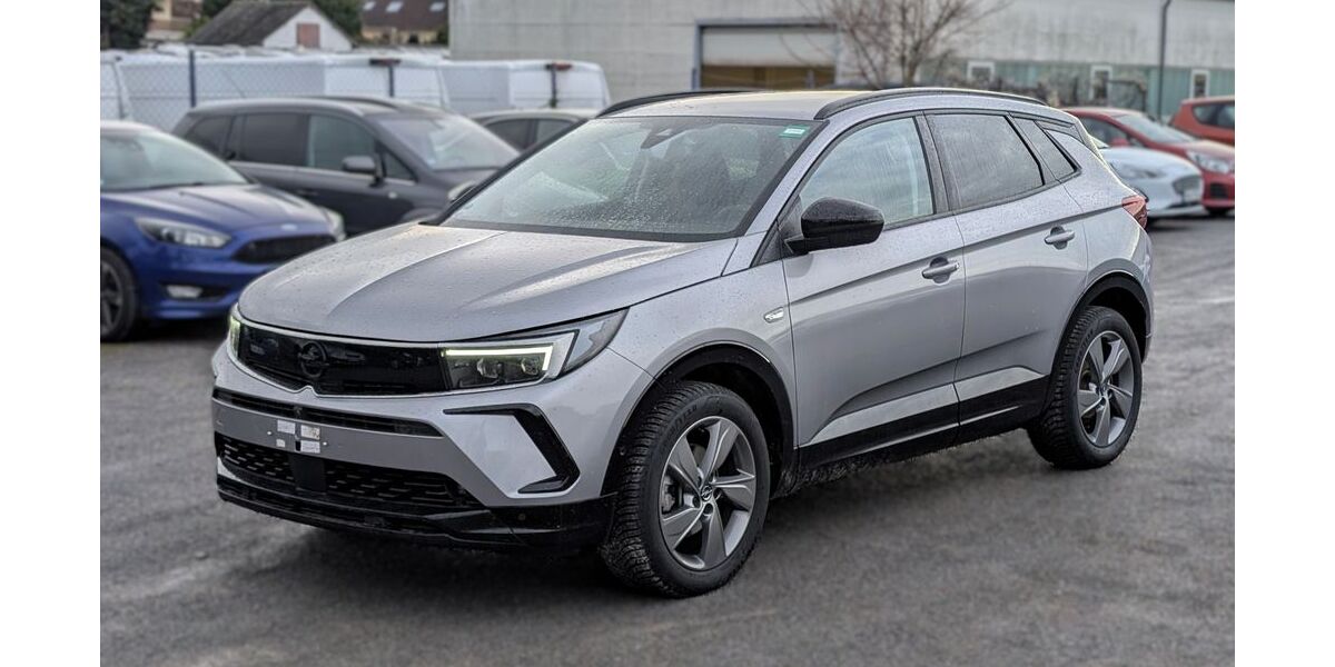 Opel Grandland (X) 17.700 km 24.850 &euro; Landau 76829