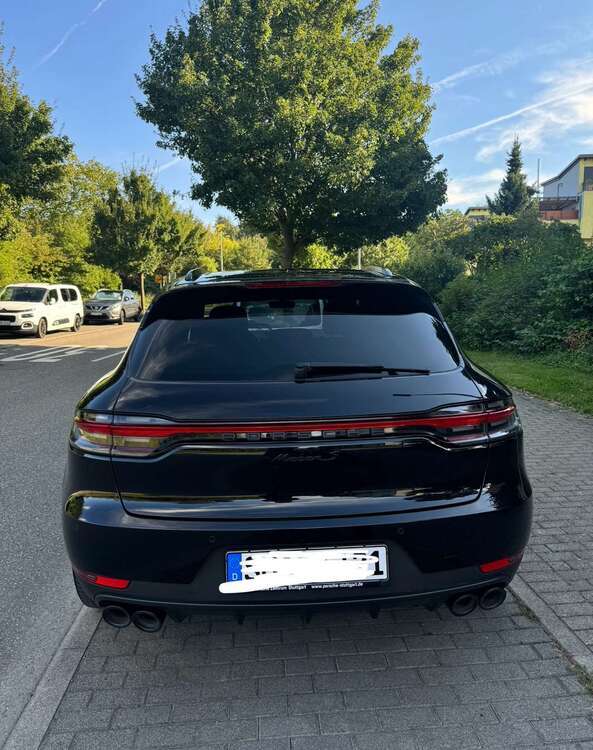 Macan
