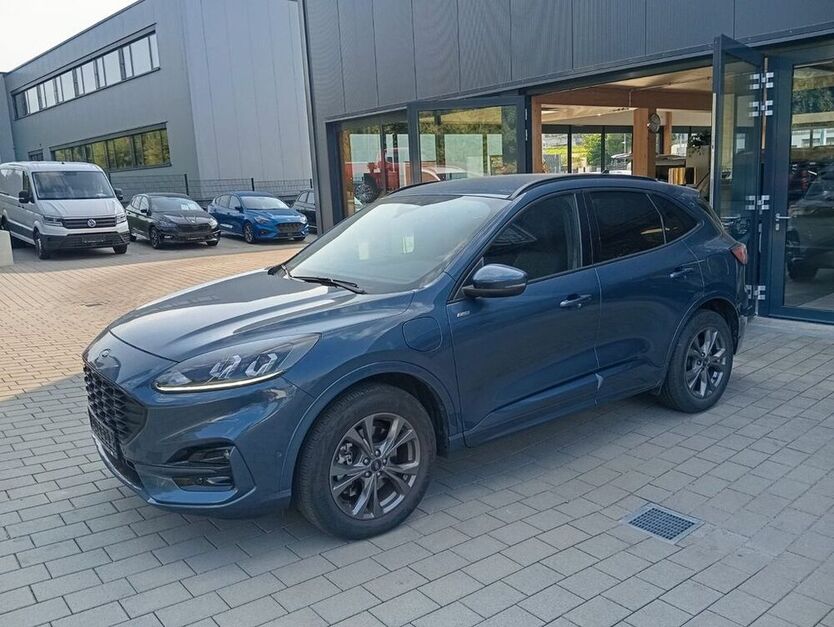 Kuga