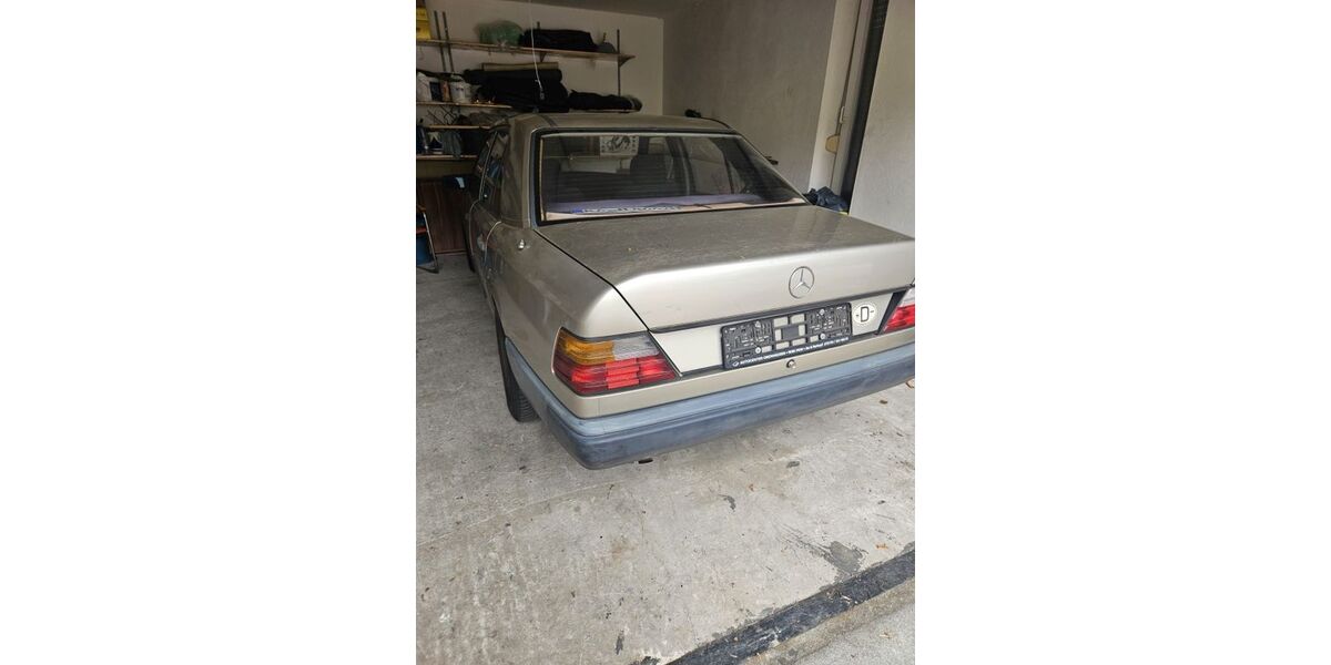 Mercedes-Benz 260 250.000 km 5.555 &euro; Philippsburg 76661