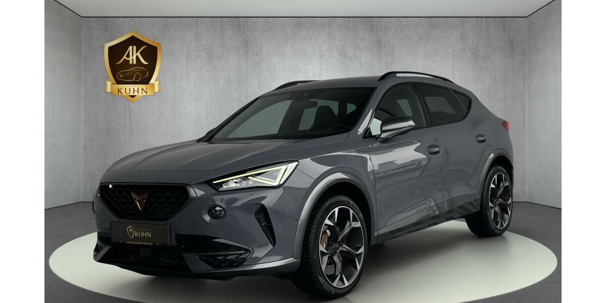 Cupra Formentor 39.996 km 28.980 &euro; Wörth am Rhein 76744