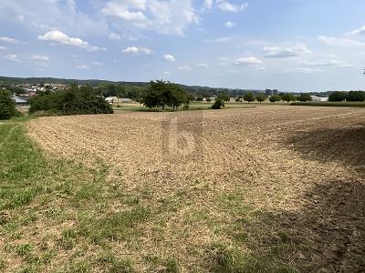PLANE DEIN EIGENES TRAUMHAUS IM GRÜNEN