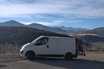 Opel Vivaro 256.000 km 8.900 &euro; Graben-Neudorf 76676