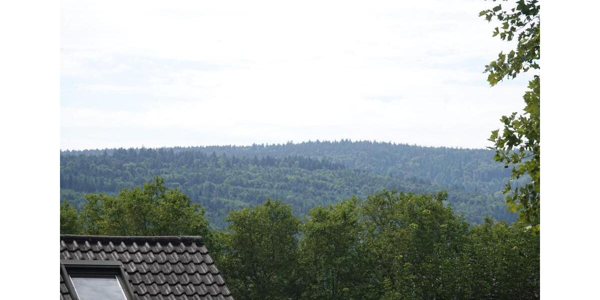 Erdgeschoßwohnung Pforzheim Brötzingen - 4.5 Zimmer, 120 m&sup2;, 420.000&euro; | Angebot:23752419