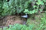 2380 QM WOHNEN AM BACH UND WALD ZUM ENTSPANNEN