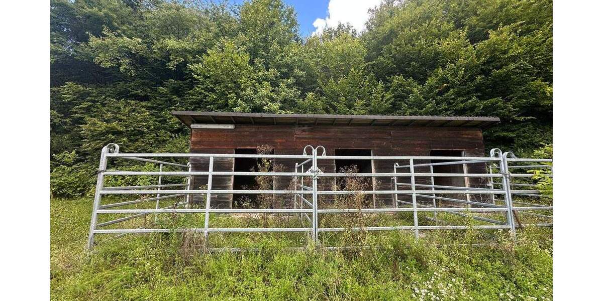 Traumgrundstück mit kleinem Wohn- und Wochenendhaus zimmer