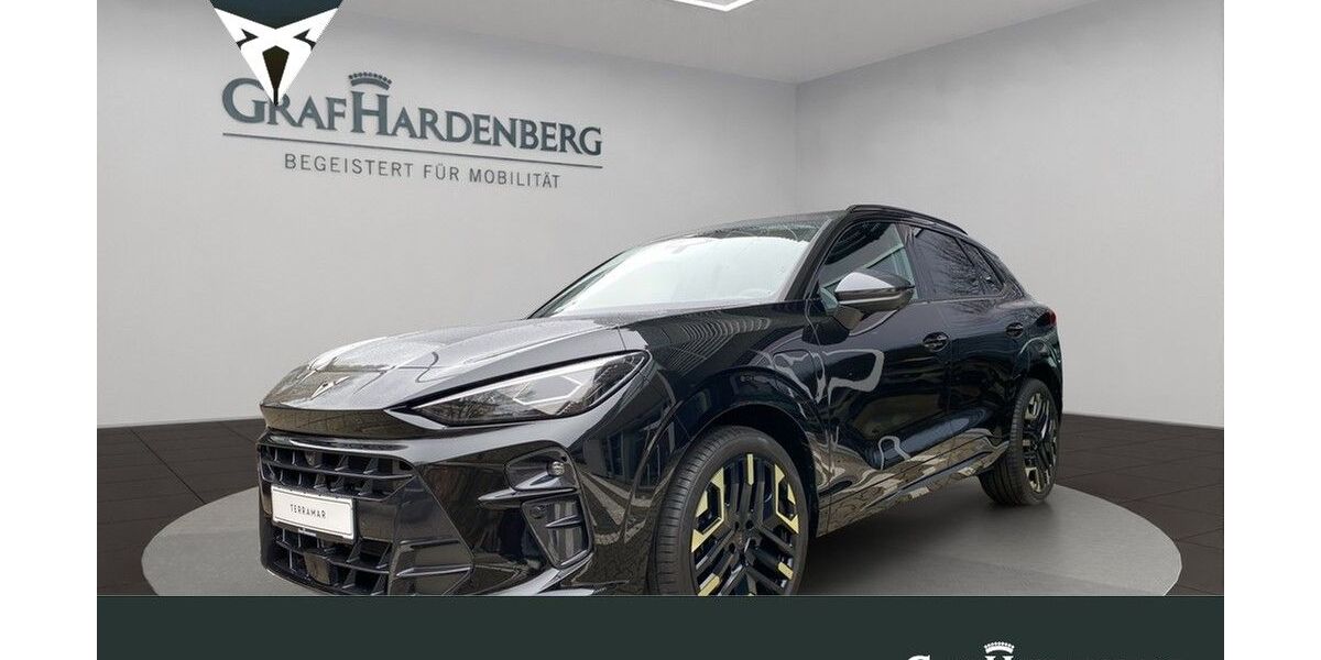 Cupra Terramar 3.500 km 53.790 &euro; Karlsruhe 76131