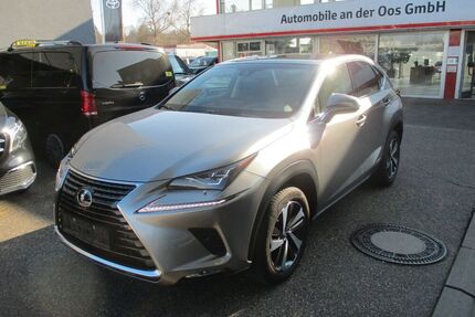 Lexus NX 300