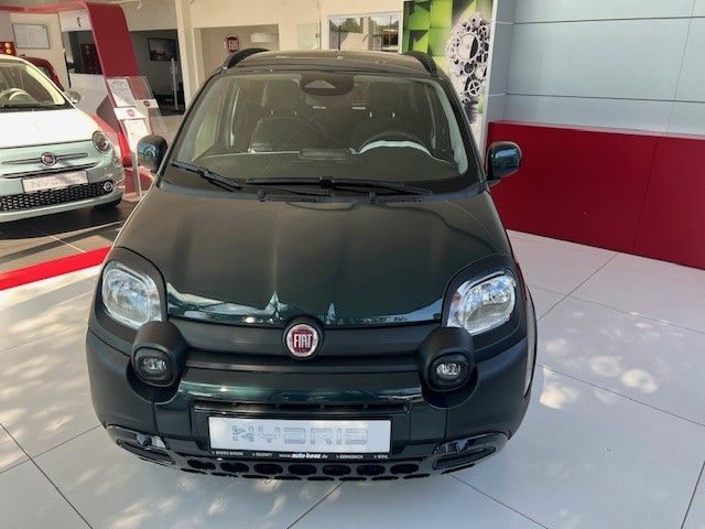 Panda