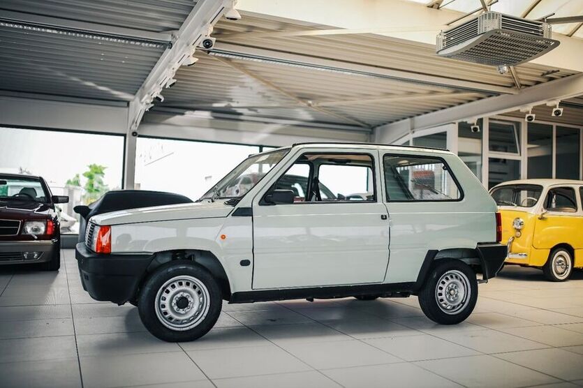 Panda