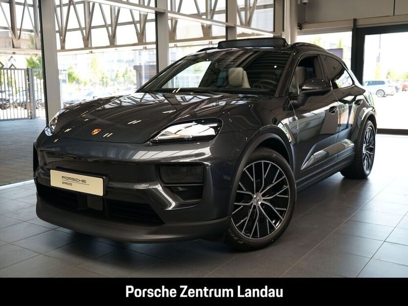 Macan