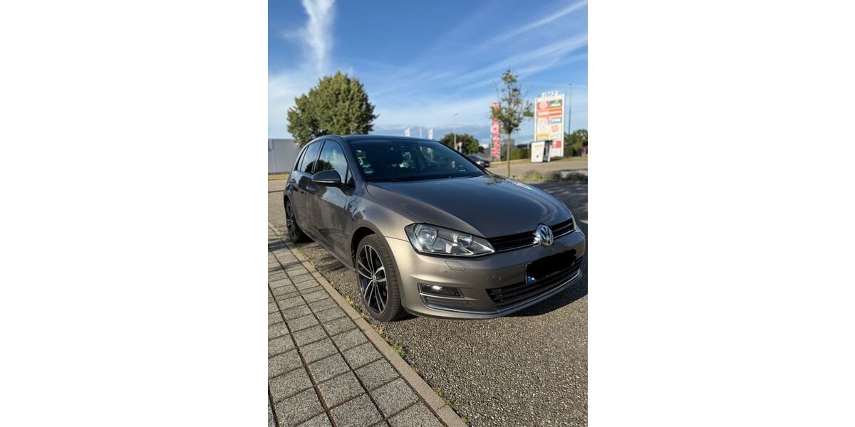 VW Golf 170.000 km 13.000 &euro; Weingarten 76356