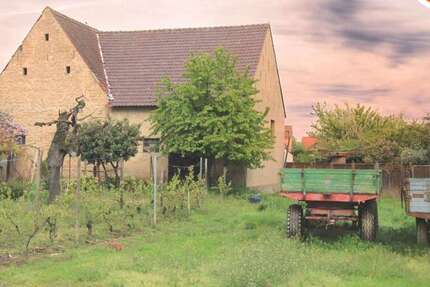 Grundstück zu verkaufen in Römerberg 725.000 € 1193 m² zimmer