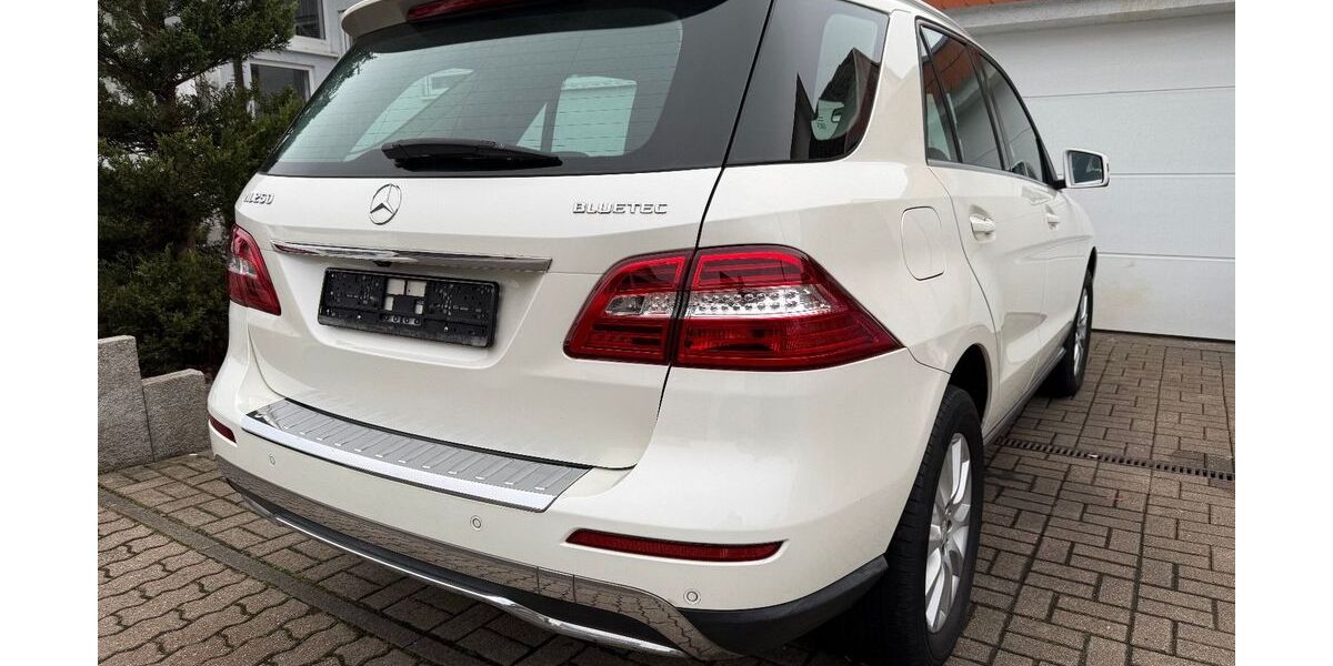 Mercedes-Benz ML 250 333.000 km 12.800 &euro; Graben Neudorf 76676