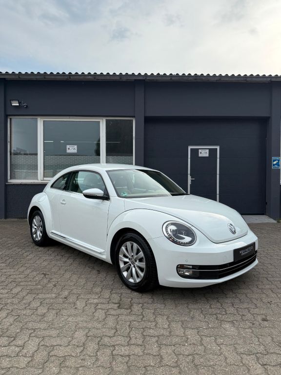 Beetle