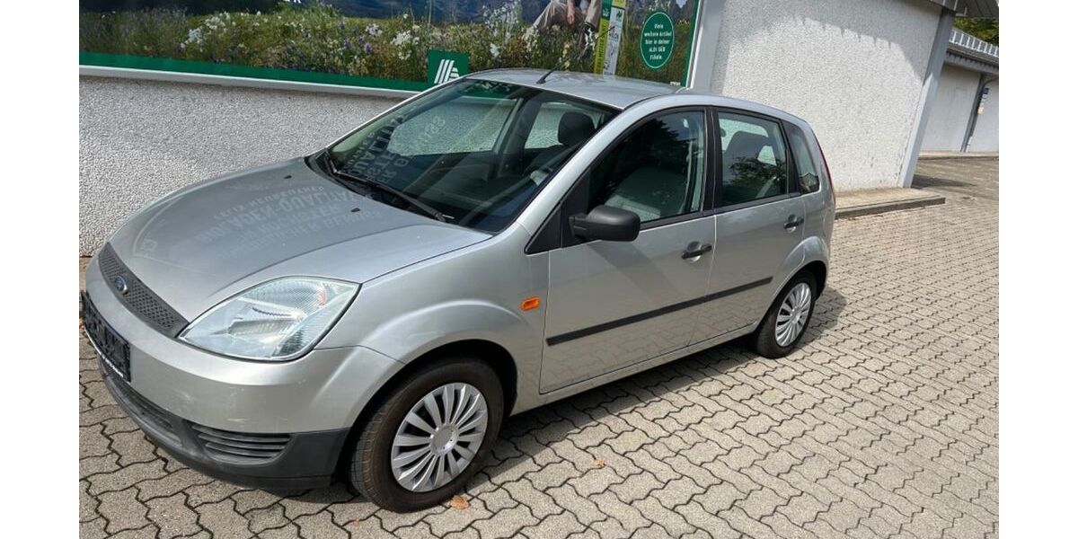 Ford Fiesta 174.430 km 2.990 € Karlsruhe 76185