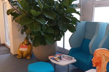 Diverse möblierte Bürozimmer mit 1-2 Arbeitsplätzen ab 01.02.2026 zimmer