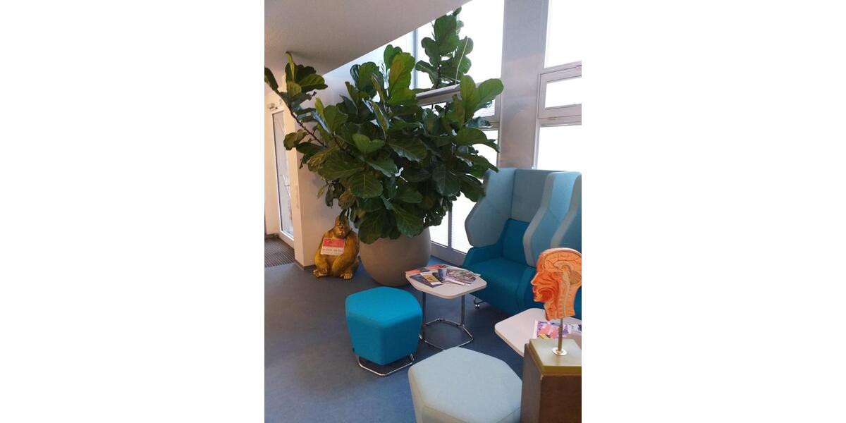 Diverse möblierte Bürozimmer mit 1-2 Arbeitsplätzen ab 01.02.2026 zimmer