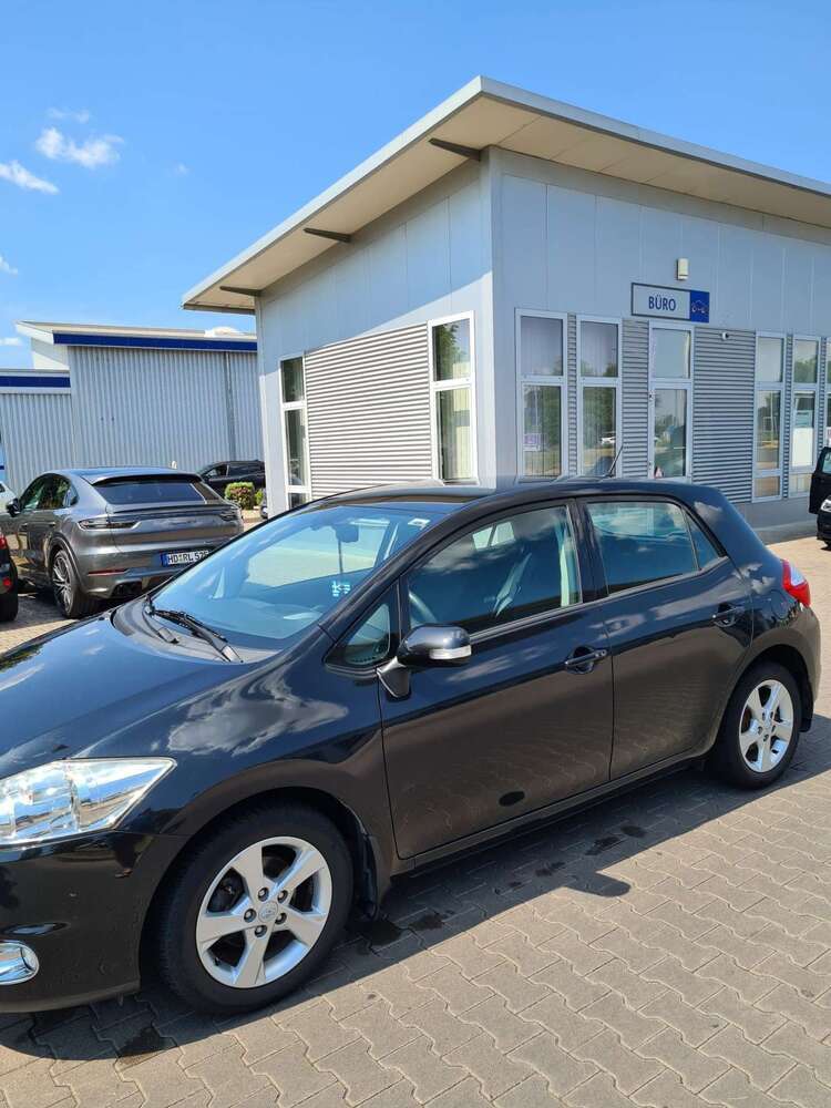 Auris