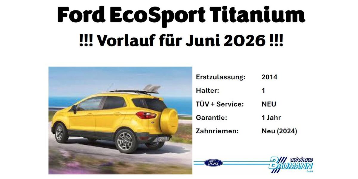 Ford EcoSport 110.000 km 7.200 &euro; Waghäusel 68753