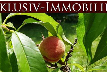 Grundstück zu verkaufen in Baden-Baden 1.500.000 € 420 m² zimmer