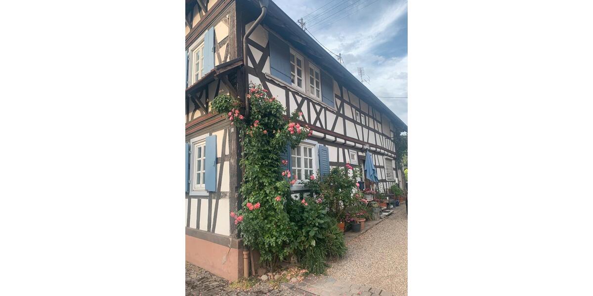 Mehrfamilienhaus, Wohnhaus Leimersheim - 8 Zimmer, 220 m&sup2;, 368.500&euro; | Angebot:26972966