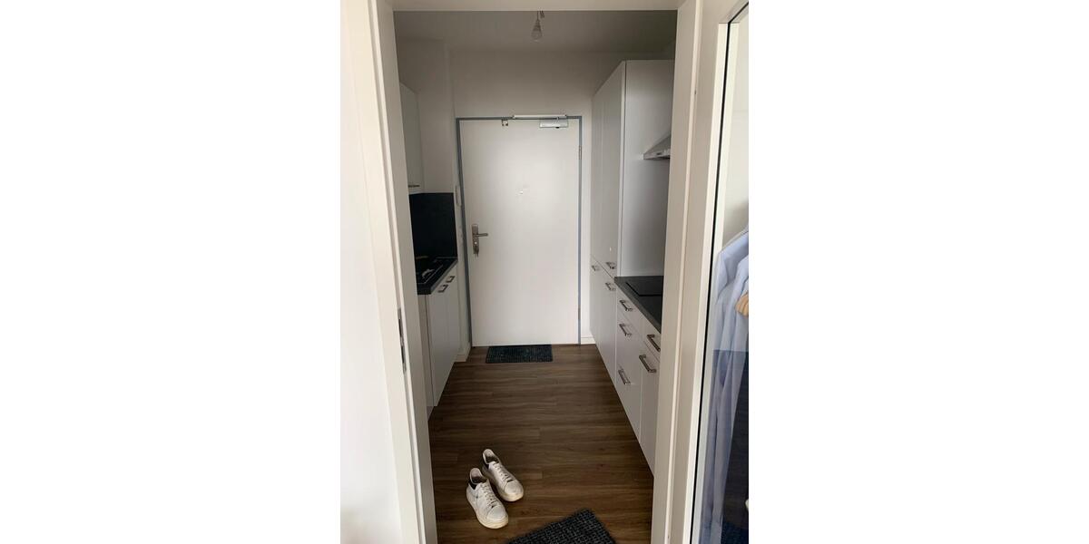 Wohnung zu vermieten 01.02-01.05 oder 01.08. 1 zimmer