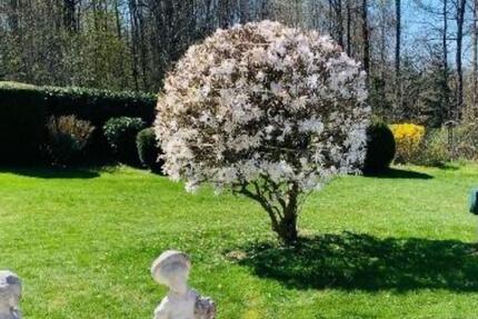 Wohnung Pforzheim Eutingen - 2 Zimmer, 46 m&sup2;, 389&euro; | Angebot:25654071