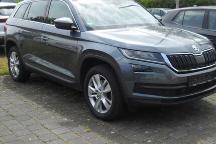 Skoda Kodiaq 167.000 km 18.900 &euro; Steinweiler 76872