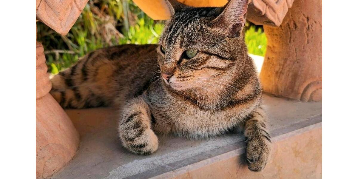 Etagenwohnung Wörth am Rhein - 3 Zimmer, 91 m&sup2;, 285.000&euro; | Angebot:25551729