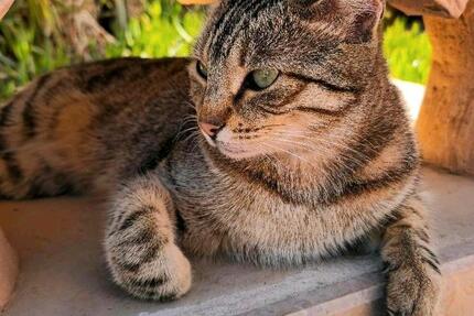 Wohnung Wörth am Rhein - 3 Zimmer, 91 m&sup2;, 285.000&euro; | Angebot:25551729