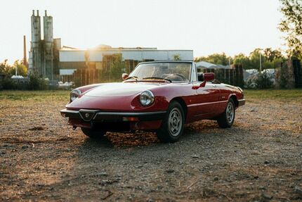 Alfa Romeo Spider 122.500 km 16.500 &euro; Bad Schönborn 76669