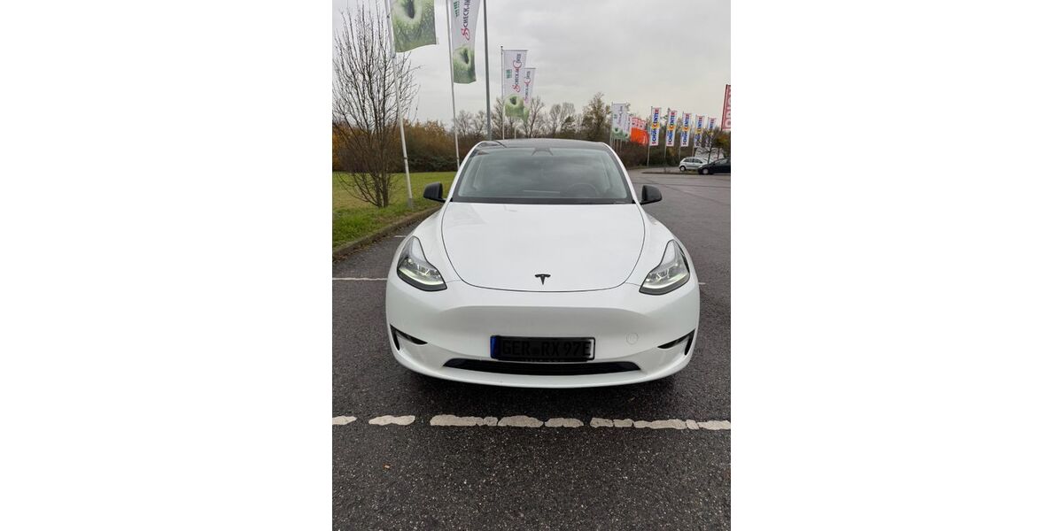 Tesla Model Y 45.000 km 34.999 &euro; Jockgrim 76751