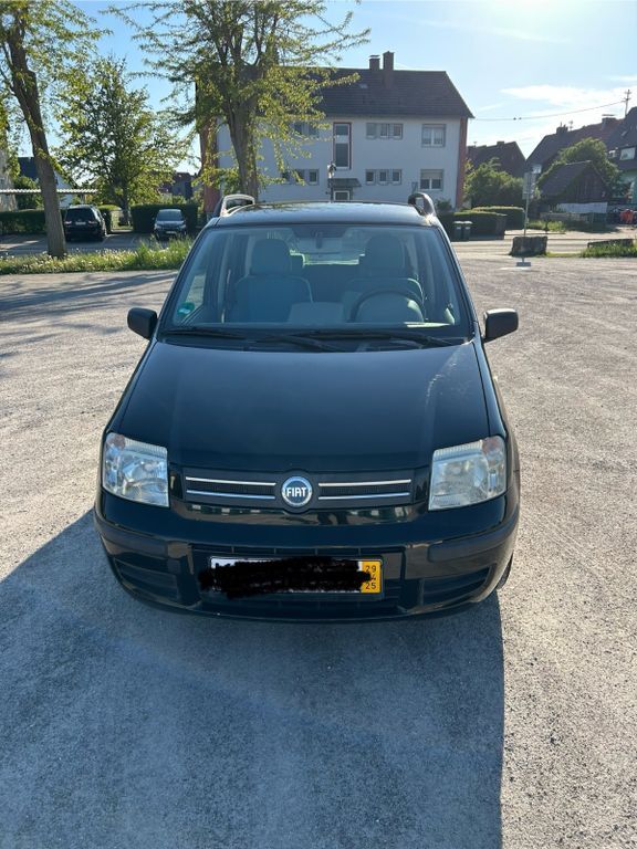 Panda