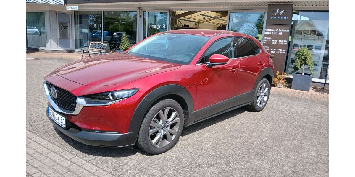 Mazda CX-30 5.500 km 29.900 &euro; Steinfeld 76889