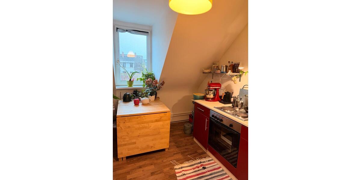 Gemütliche & zentrale Wohnung zu vermieten zwischen April und Mai 2 zimmer