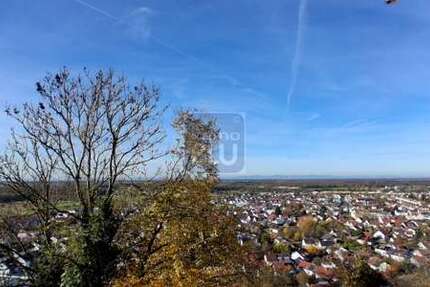 Grundstück zu verkaufen in Weingarten 399.000 € 683 m² zimmer